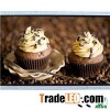 High Brightness 10.1inch 1024*600 LVDS Monitor TFT