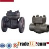 Forged Steel Female Threaded And Socket Welded Check Valve
