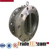 Double Flange Dual Plate Swing Check Valve