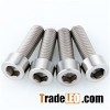 Titanium Cup Head Bolts