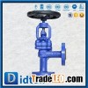 WCB/Carbon Steel/Cast Steel Angle Globe Valve