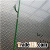 Stainless Steel Diamond Plate