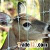 Wire Mesh Farm Fence
