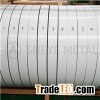 Stainless Steel Strip