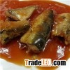 Canned Sardines In Tomato Sauce