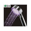 LED shower head