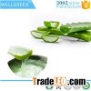 Aloe Extract