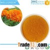Lutein