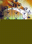 New design wrought iron window grills