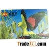 PVC Plastic Card Without Chip