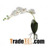 artifiical flower,single stem orchid