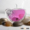 crystal apple photo frame