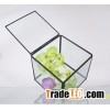 Wholesale Geometric Glass Terrarium For Home Decoration