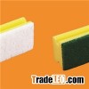 Sponge