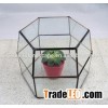 Air Plant Tiffany Geometric Glass Terrarium