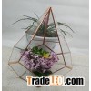 Best Selling Plant Geometric Glass Terrarium For Home Decor