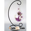 wholsale home decoration hanging glass vase for bulb shape