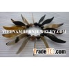 Horn Bracelet,bangles,curved