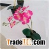 Hot Sale Artificial Silk Butterfly Orchid Flower
