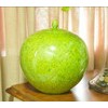 green colored glaze porcelain jar