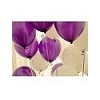 10inch 1.8g pearlized color latex balloon