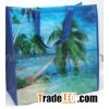 Beach Bag Made of Woven Peritoneal