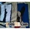 Needlepoint Pillows, Throw Pillows, Stitched Pillows