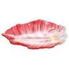 Elegant Glass Plate