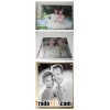 the most beautiful wedding photo painting,wedding gift