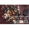 LED light with controller