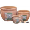 Handmade ceramic pot plant