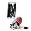 Car Power Inverter