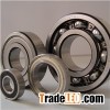 Single Row Deep Groove Ball Bearings