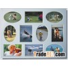 Collage Mat