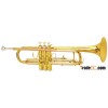 Trumpet