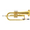 bB Flugel with best price and quality