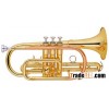 bB/Cornet