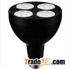 LED Par30