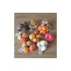 artificial fruit