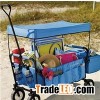 Folding Wagon With Canopy