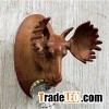 Deer Wall Mount Bottle Opener DY-BO1