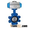 Marine Lug Style Butterfly Valve