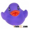 Mini bath floating duck purple color