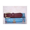 Lighthouse Needlepoint Belts