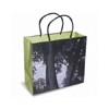 Paper Bag