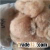Camel Hair Fibers