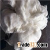 White Rabbit Hair