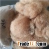 Brown Camel Hair