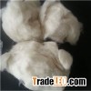 Baby Sheep Wool Waste