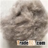 Brown Angola Wool